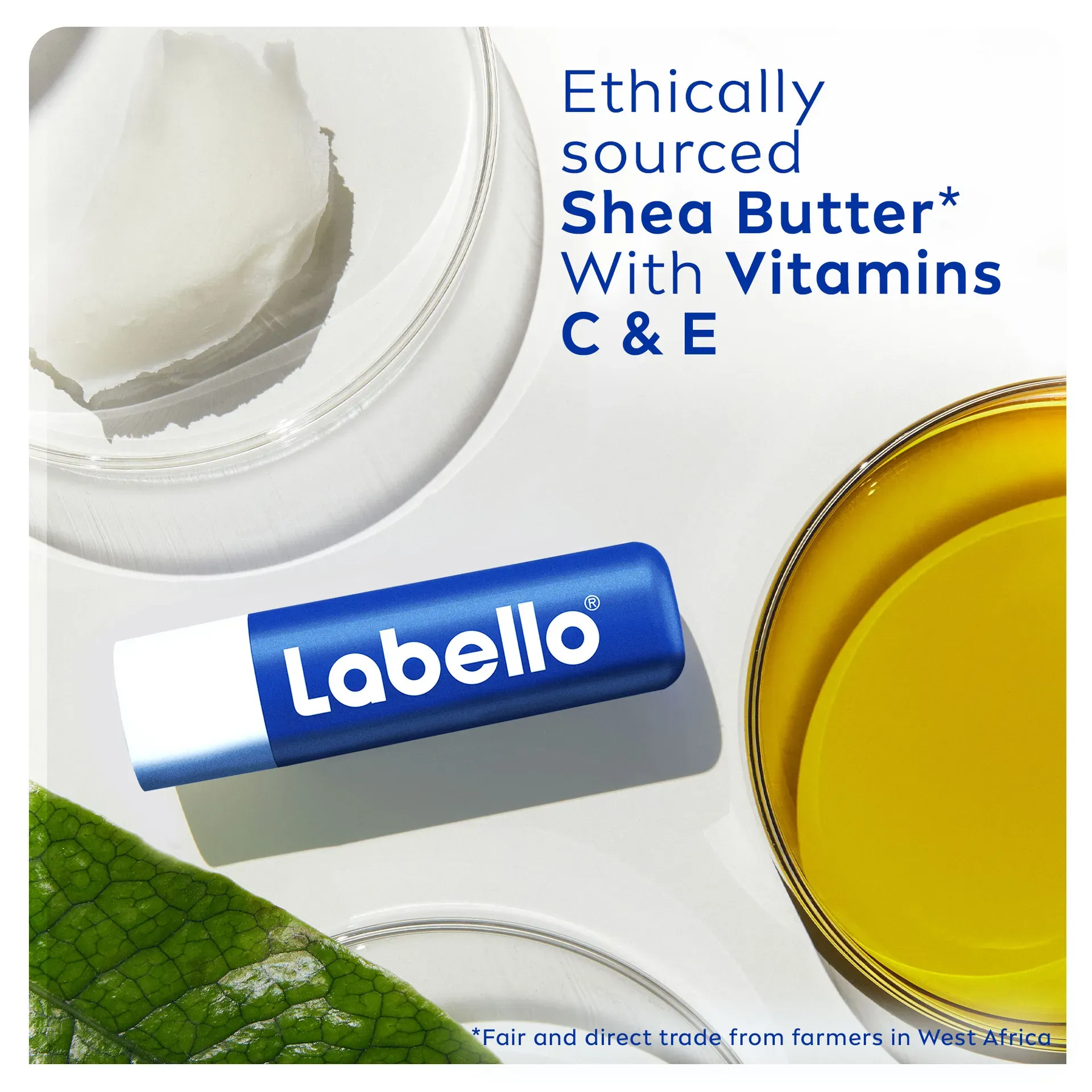 بالم لب مرطوبکننده لابلو اورجینال وزن 4.8گرم - Image 2