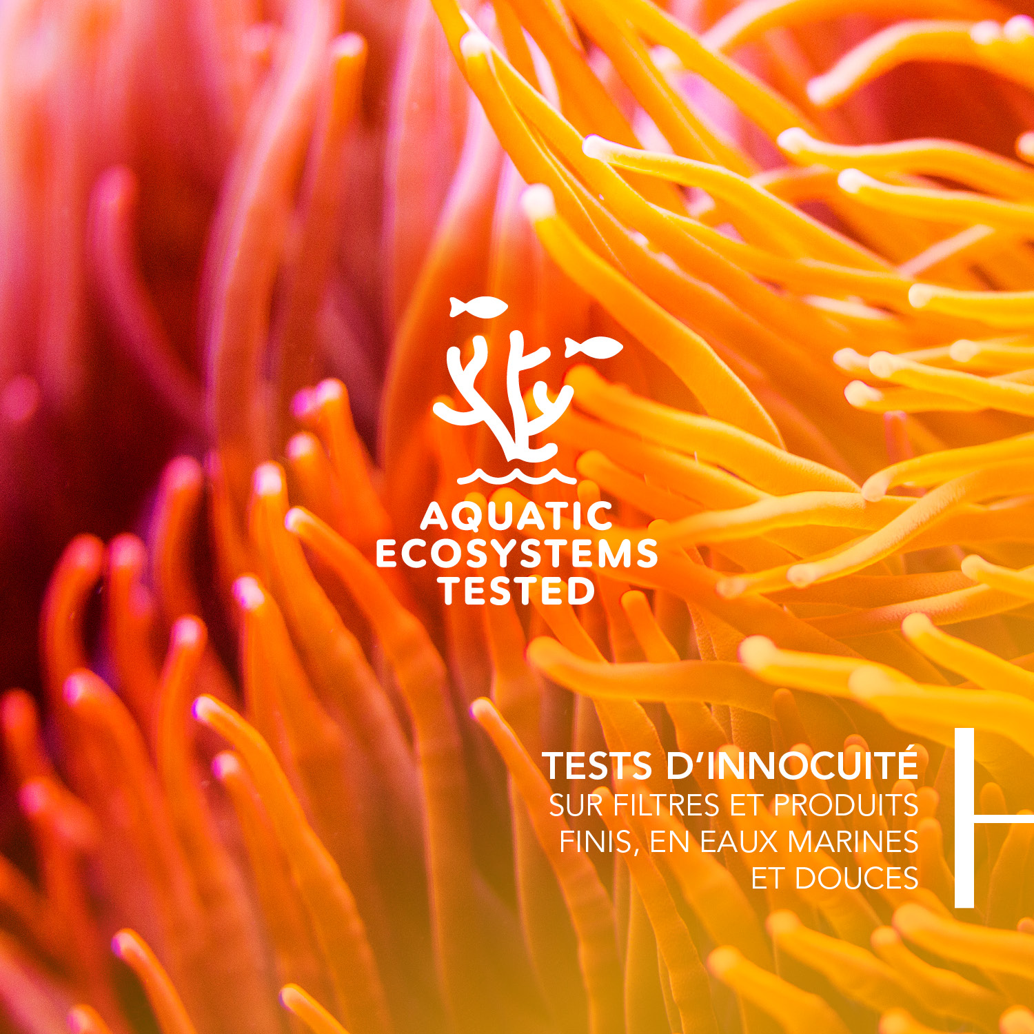 اسپری ضدآفتاب بایودرما مدل Photoderm Brume invisible حجم 150 میل - Image 2